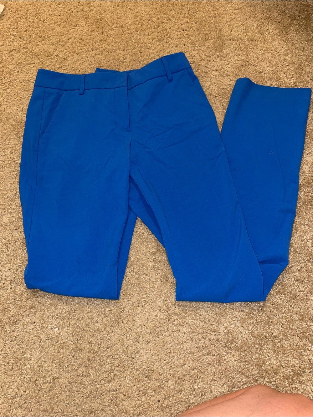 New York & Company Bright Blue Women's Trousers